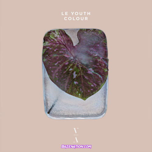 Le Youth - Goodbye Mp3 Download